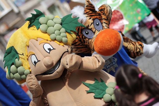Strój maskotki Zielonej Góry zakładają pracownicy Zielonogórskiego Ośrodka Kultury podczas różnych imprez, zwłaszcza tych, skierowanych dla dzieci