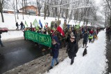 Marsz Entów w Warszawie. Protestowali w obronie Puszczy Białowieskiej [ZDJĘCIA]