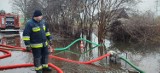 Zalane drogi, domy i pola w powiecie gdańskim. Strażacy usuwają skutki zalań i podtopień