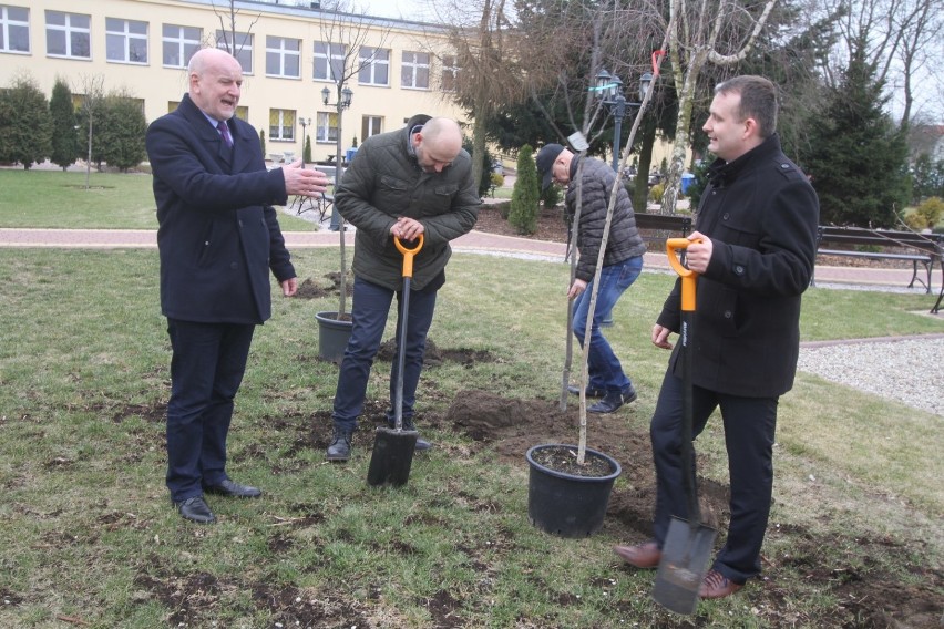 Akcja Drzewo dla Polski w Złotowie
