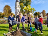 Babice. Seniorzy posadzili niezwykłe drzewo na placu Mogielnickiego [ZDJĘCIA]