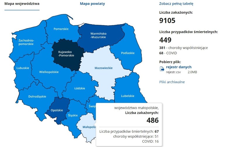 Koronawirus. Są nowe zakażenia COVID-19 w Tarnowie i powiatach: tarnowskim, brzeskim, bocheńskim i dąbrowskim [AKTUALIZACJA 1.12]