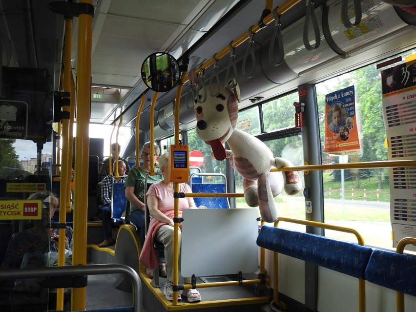 Autobus z teatralnymi akcentami na ulicach Łomży