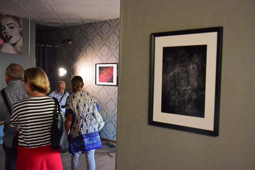 W pubie Styx w Żninie otwarto wystawę zdjęć Piotra Koralewskiego, pasjonata i kolekcjonera analogów. Oto relacja z wydarzenia
