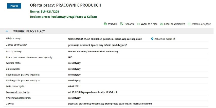 Nowe oferty pracy w Powiatowym Urzędzie Pracy w Kaliszu. Sprawdź za jaką stawkę