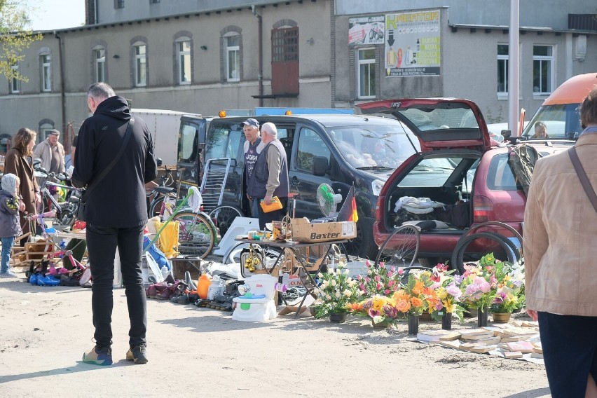 Maj to najpiękniejszy czas na stoiskach targowych w Żarach