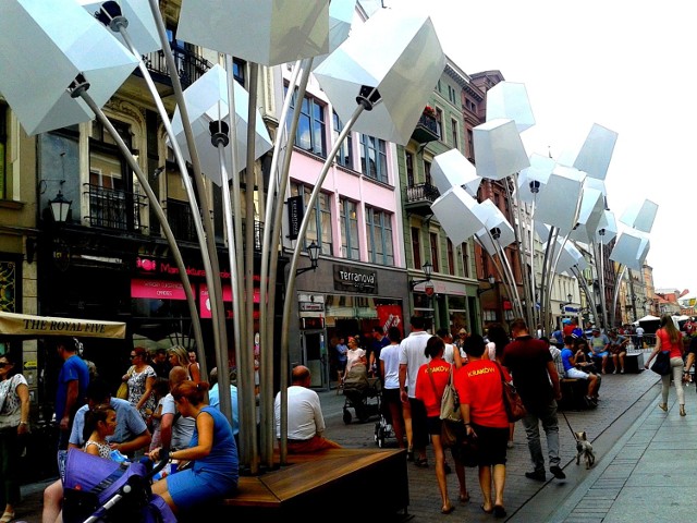 Toruński Festival Bella Skyway - Bukiet Abażurów [ZDJĘCIA]