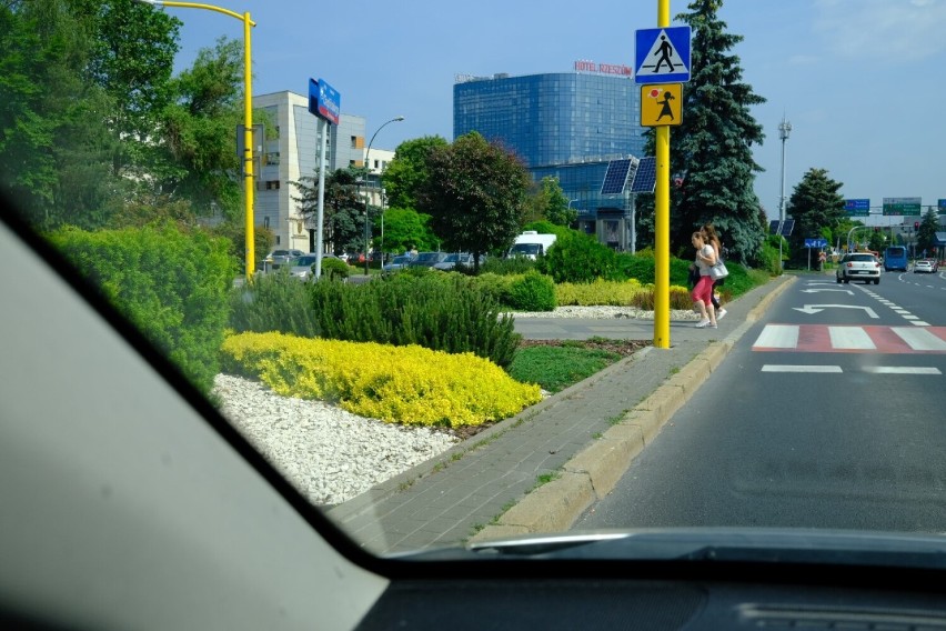 Kierowcy uważają, że zieleń ogranicza im widoczność przed przejściami dla pieszych przy al. Cieplińskiego