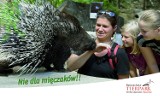 Görlitz/Zgorzelec: Odwiedź Zoo w Görlitz!