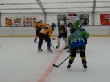 Galeria zdjęć z hokeja na lodzie