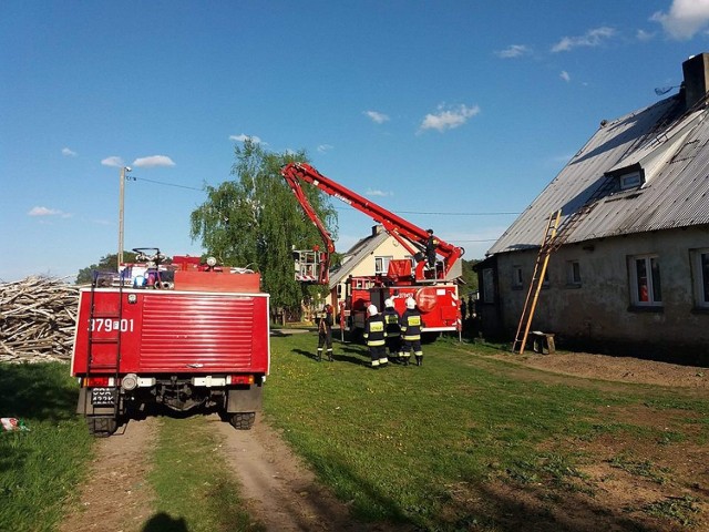 We wtorek, 1 maja, leśny zwierzak wdrapał się na dach domku jednorodzinnego w Templewku, ale nie potrafił już z niego zejść. Właściciele poinformowali o tym strażaków zawodowych z Międzyrzecza, którzy przyjechali tam swoim podnośnikiem i poprosili o wsparcie strażaków-ochotników z pobliskiego Templewa.