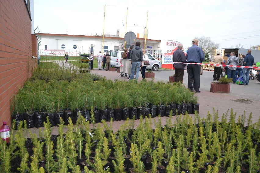 &quot;Drzewko za makulaturę&quot; w Malborku. Mieszkańcy wzięli udział w ekologicznej akcji