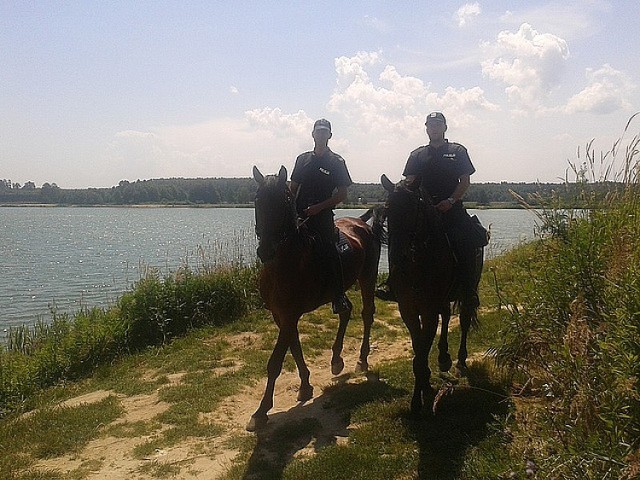 Policjanci na koniach patrolują woj. Podkarpackie