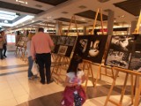 Wystawa zdjęć Zielonogórskiego Towarzystwa Fotograficznego w galerii Focus Mall [ZDJĘCIA]