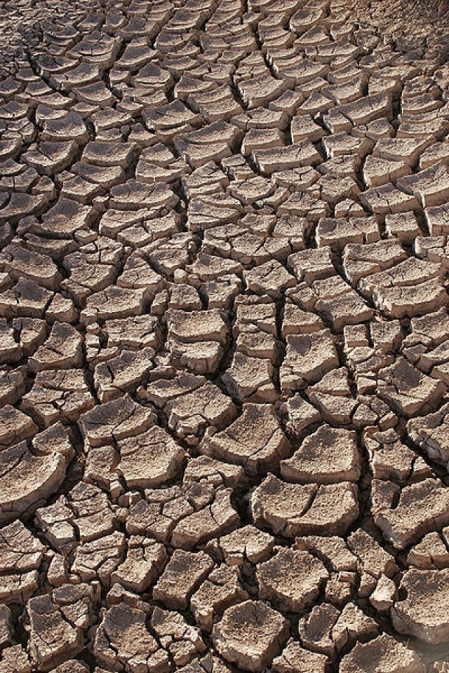 Katastrofalna susza dotknęła Wschodnią Afrykę (http://commons.wikimedia.org/wiki/File:Drought.jpg)