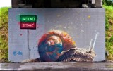 Nowy Sącz. Serial Mgr Morsa na ulicy Węgierskiej. Zobacz przegląd niezwykłych murali