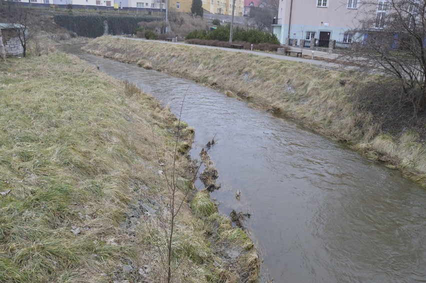 Rzeka Dzierzgoń