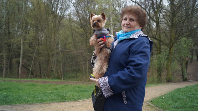 Wybiegi dla psów w Jastrzębiu: chcą walczyć z odchodami.