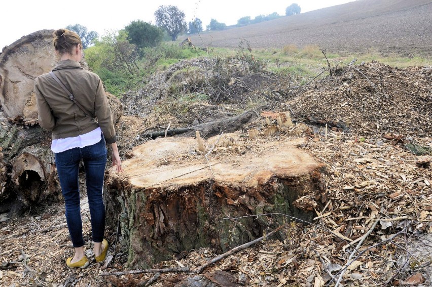 Zdjęcia z planowanego łącznika. Mieszkańcy są oburzeni...