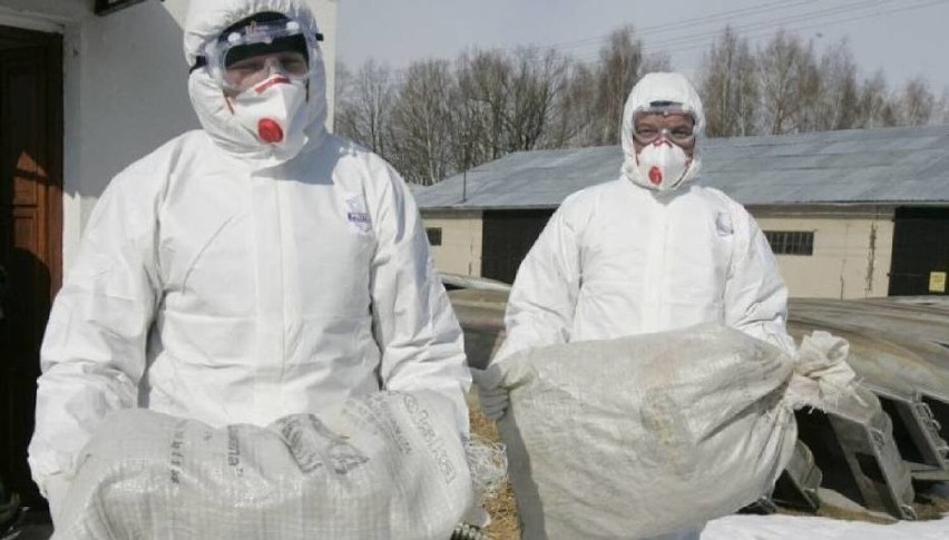 27 grudnia 2022 roku potwierdzono ognisko ptasiej grypy w jednym z gospodarstw w miejscowości Cieśle