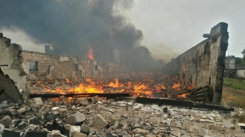 Pożar w Baczynie. Na fermie spłonęło tys. indyków