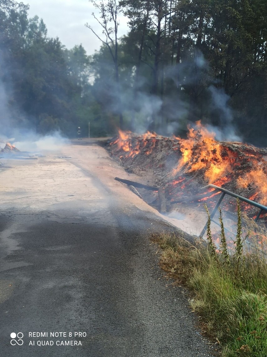 Groźny pożar wybuchł w gminie Brąszewice. Płonęły dwie wielkie hałdy drewna. W akcji 50 jednostek straży ZDJĘCIA, FILM