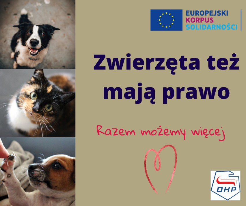 Ideą projektu "Zwierzęta też mają prawo" jest zaangażowanie lokalnej społeczności do działań na rzecz wspólnego dobra