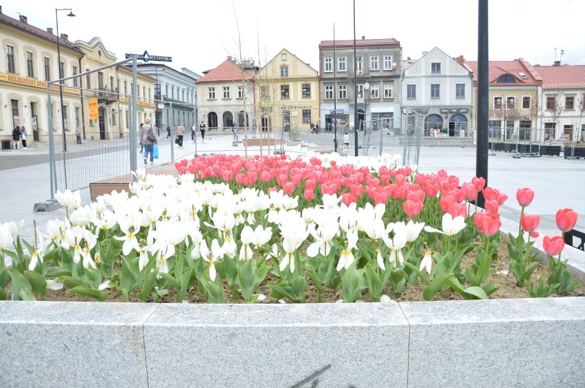 Trwa przyjmowanie projektów w siódmej edycji Budżetu...