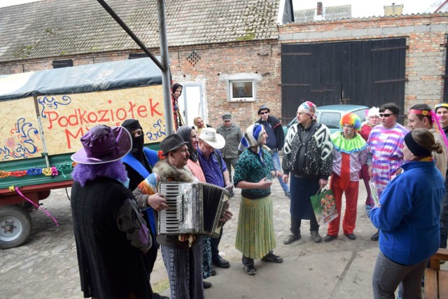 Podkoziołek w Mylinie. Odwiedzili nowożeńców i jubilatów