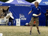 Dog Chow Disc Cup 2011: Psy, które latają na Cytadeli (wideo)