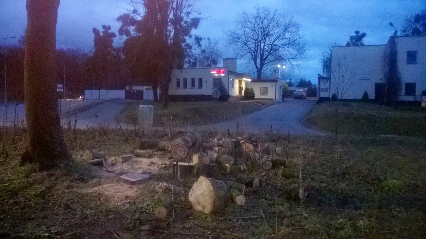Na terenie przy ul. Parkowej wycięto 10 drzew.