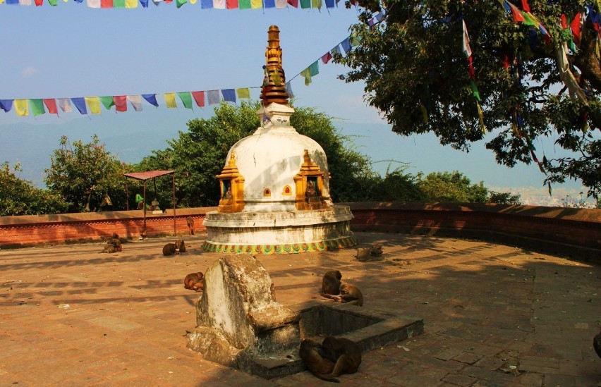 W skład świątynnego kompleksu wchodzi stupa, kilka małych...