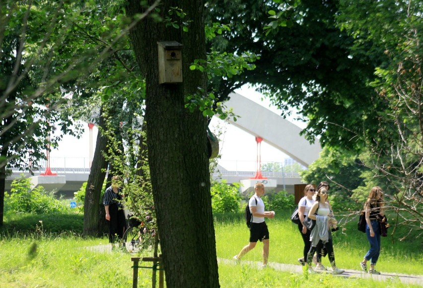 Słoneczne popołudnie w Parku Ludowym w Lublinie. Zobacz zdjęcia