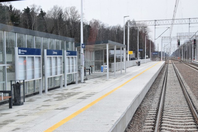 Na odcinku Czechowice-Dziedzice - Zabrzeg powstały nowe nasypy, tory i sieć trakcyjna, a także nowe perony i przejścia w stacji Zabrzeg