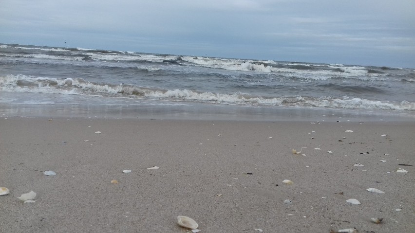 Wietrznie na plaży w Świnoujściu. Pokaźne zaspy na wejściach