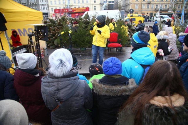 Choinki za darmo od RMF 2019. Rusza akcja "Choinki pod choinkę". Sprawdź, gdzie w tym roku RMF rozdaje choinki!