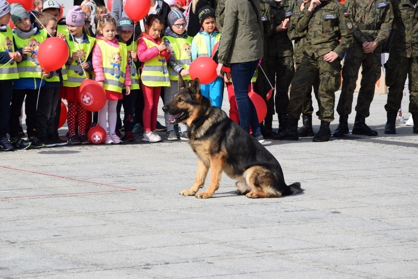 Jubileusz stulecia PCK w Częstochowie [ZDJĘCIA] Uroczystości odbyły się na Placu Biegańskiego