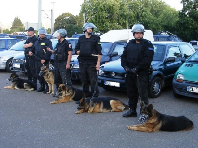 psy policyjne, policjanci
