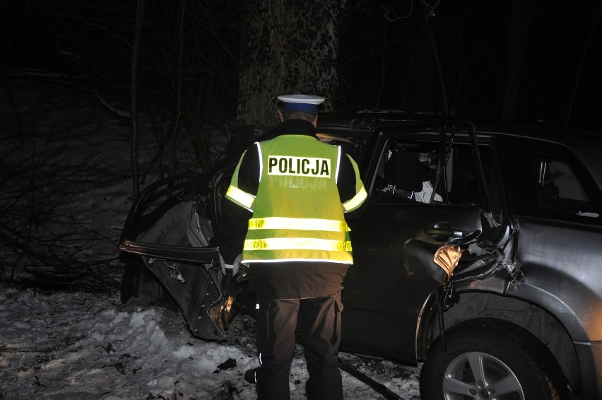 Śmiertelny wypadek na drodze Lutomek - Łężce