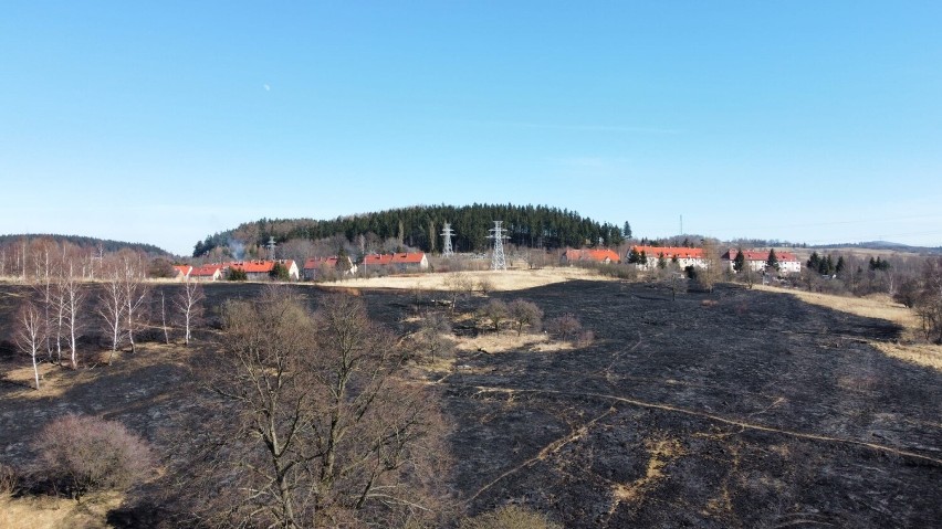 W Wałbrzychu i powiecie było już 80 pożarów traw! Wszystkie...