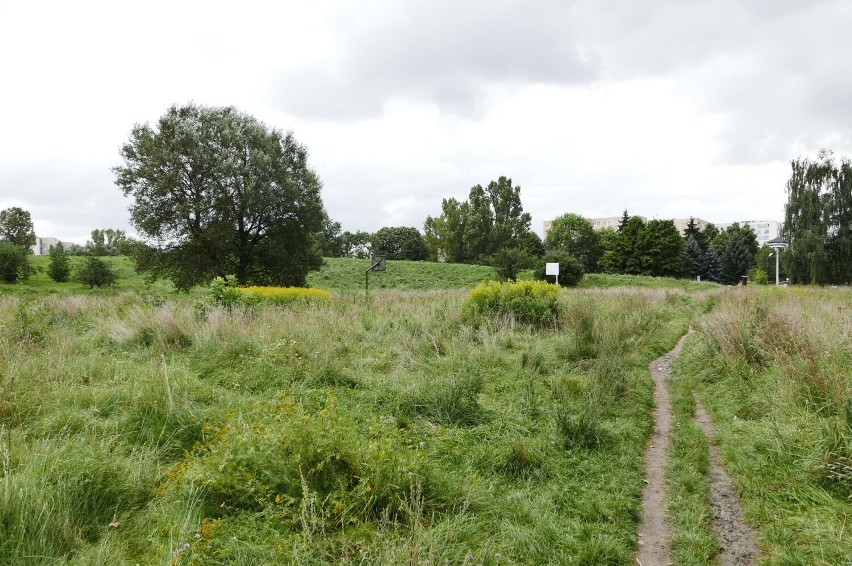 Park Polskich Wynalazców. Nie wystarczy pieniędzy na remont ursynowskiego parku? W tle konflikt dzielnicy z częścią mieszkańców 