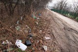 Śmieci na ulicach Gdańska. Spod śniegu wyłonił się obraz zanieczyszczonych ulic [ZDJĘCIA]