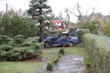 Orkan Grzegorz nad Opolszczyzną. Drzewo spadło na auto w Dobrzeniu Wielkim, zginęła jedna osoba