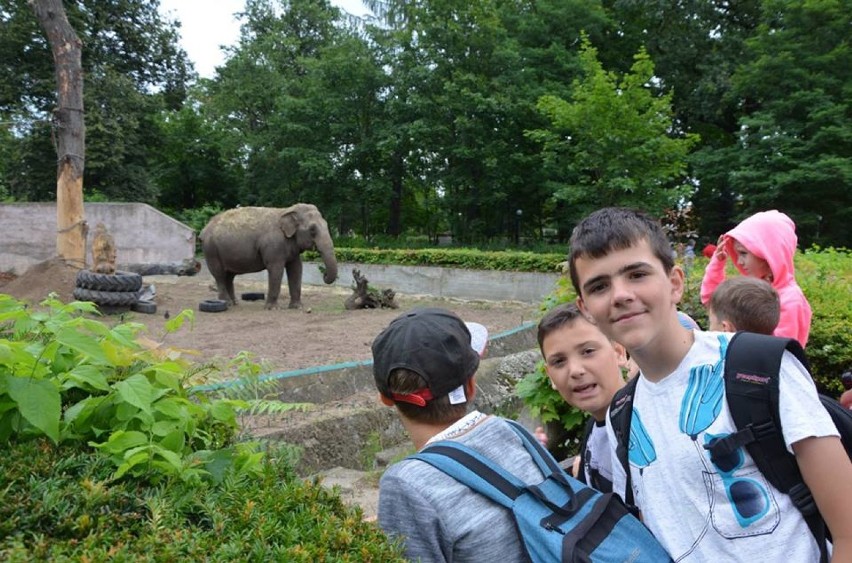 Z Żor pojechali odwiedzić Ogród Zoologiczny we Wrocławiu - ZDJĘCIA