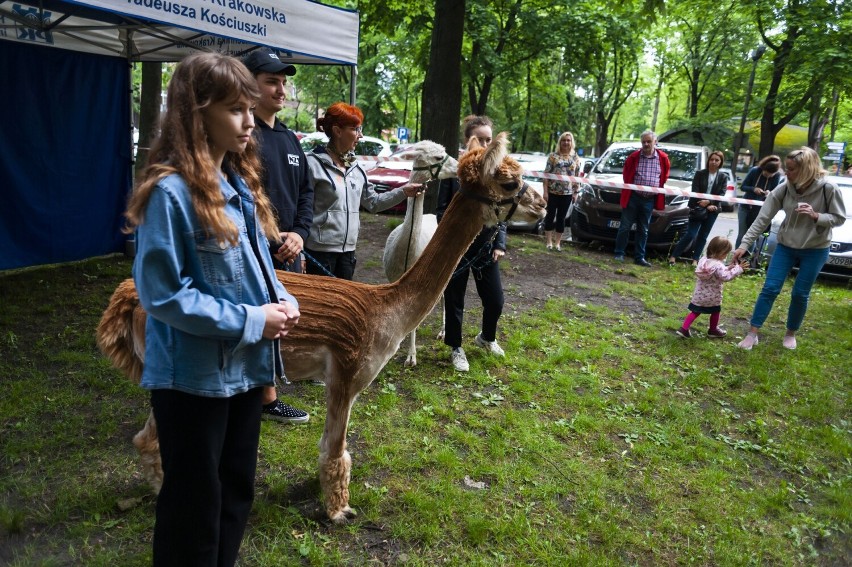 Kraków. Politechnika Krakowska zamieniła się w... zoo