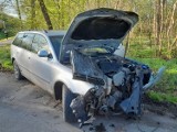 Wezwania do jeleni, drzewo pochylone na szkołę i zderzenia samochodów. Tygodniowy raport KP PSP Malbork