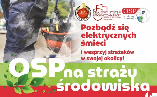 OSP Przygłów na straży środowiska