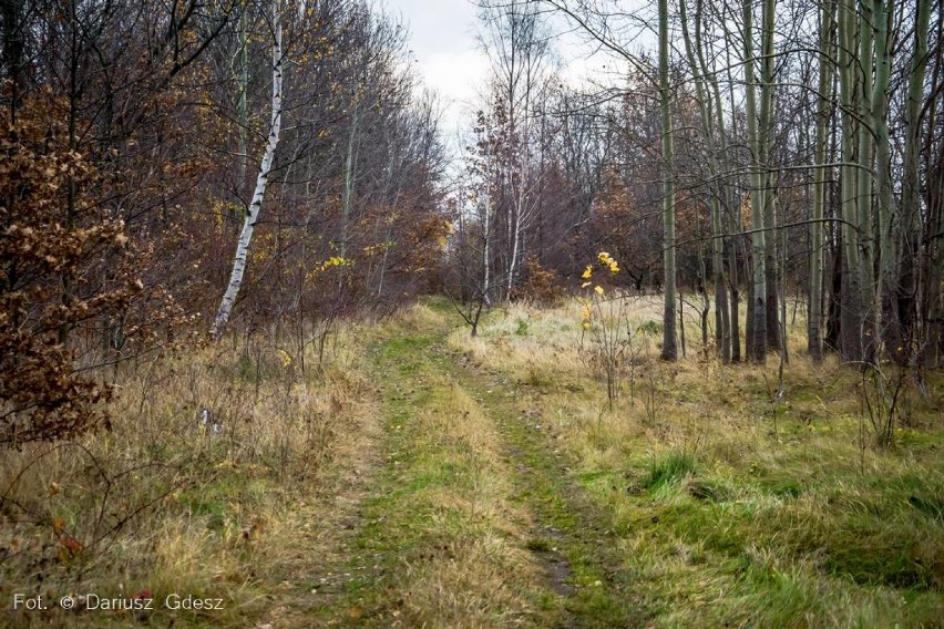 Co dalej z dworcem i nieczynną linią kolejową w Szczawnie-Zdroju? [ZDJĘCIA] 