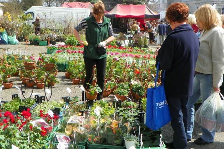 Agro Targi w Starej Łubiance już po raz 22.