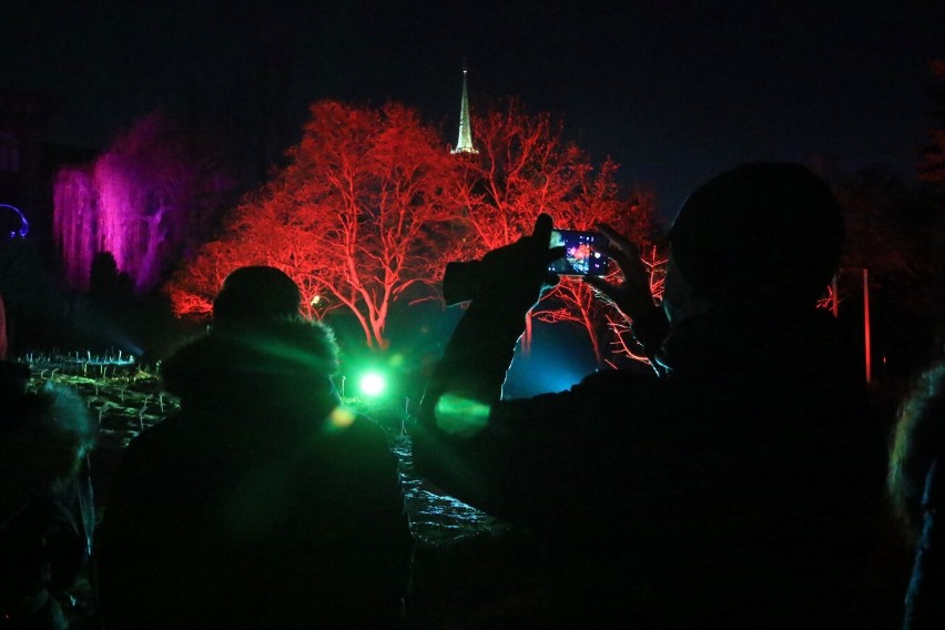 Tak pięknie wyglądał Ogród Botaniczny w ubiegłym roku